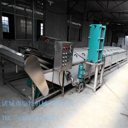 諸城瑞特 專業黃桃果醬全自動不銹鋼巴氏殺菌機制造商